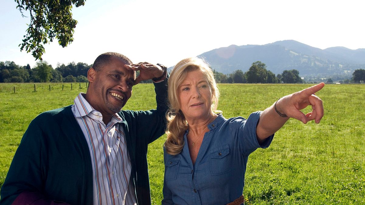 24 milchkühe und kein mann