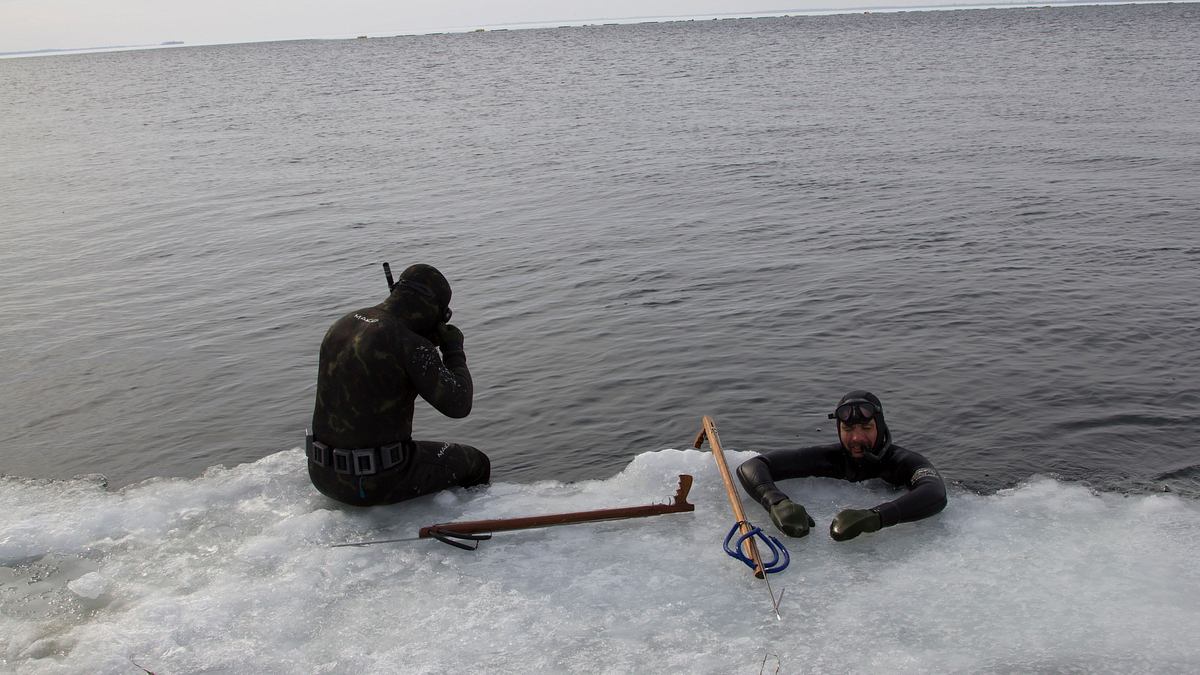 freestyle-fischen mit eric young
