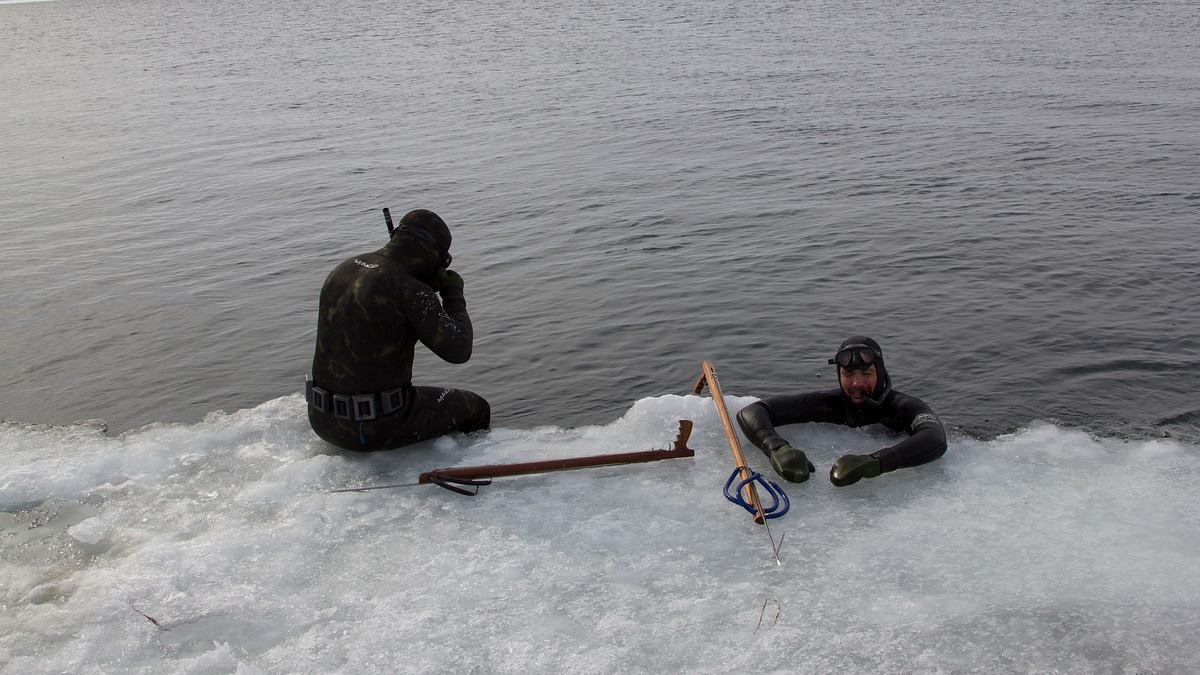 freestyle-fischen mit eric young