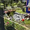 Von Hecke zu Hecke - Bunte Beetgeschichten Thumbnail