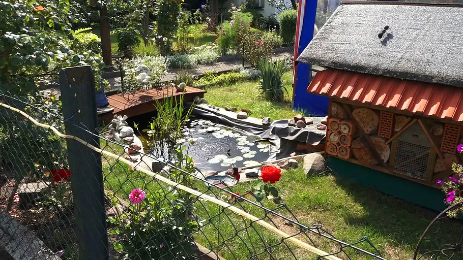 Von Hecke zu Hecke - Bunte Beetgeschichten von hecke zu hecke - bunte beetgeschichten