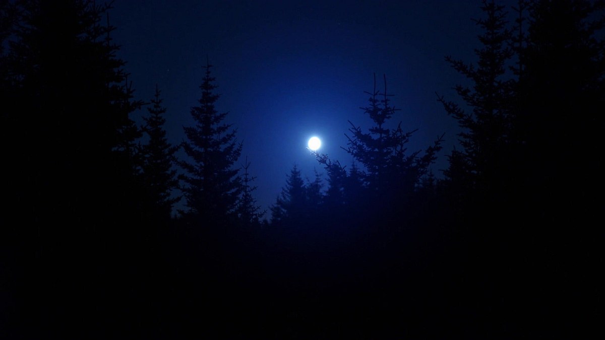 ufo-theorien - zwischen fakt und fiktion