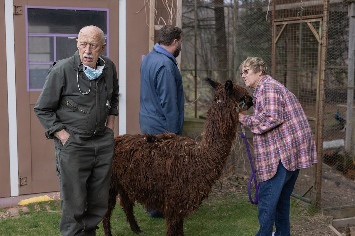 der unglaubliche dr. pol