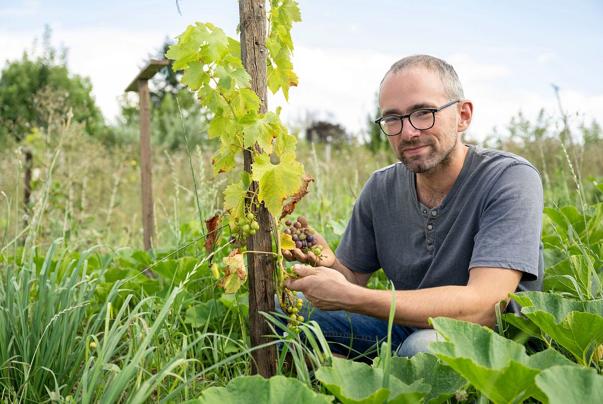 garten und lecker