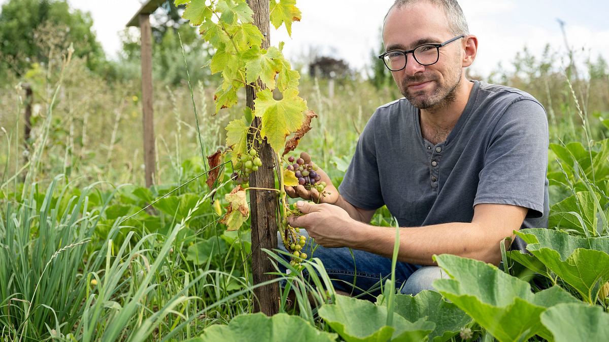 garten und lecker
