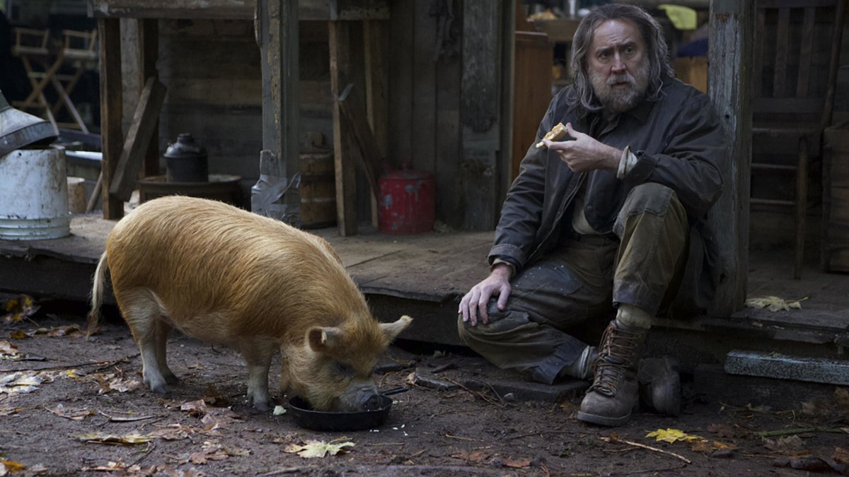 pig