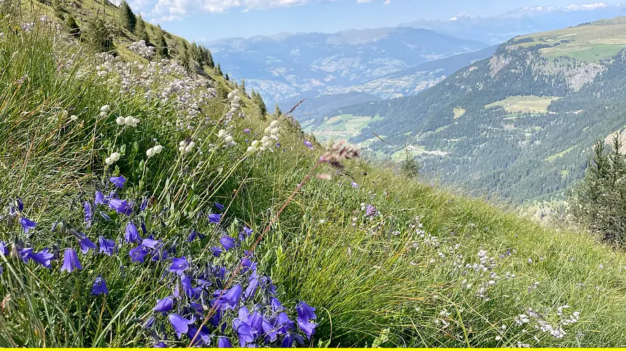 wunderschön!