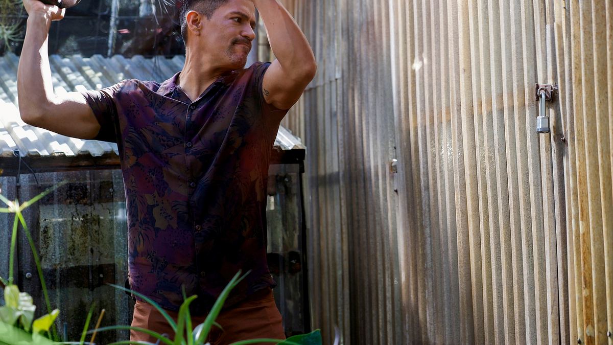 magnum p.i.
