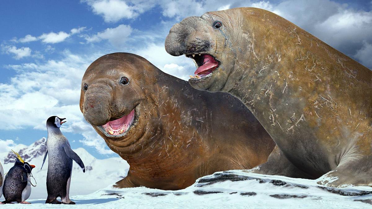 happy feet