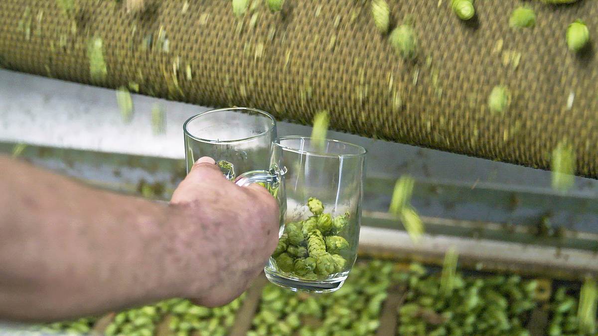 das große brauen - deutschland und seine biere