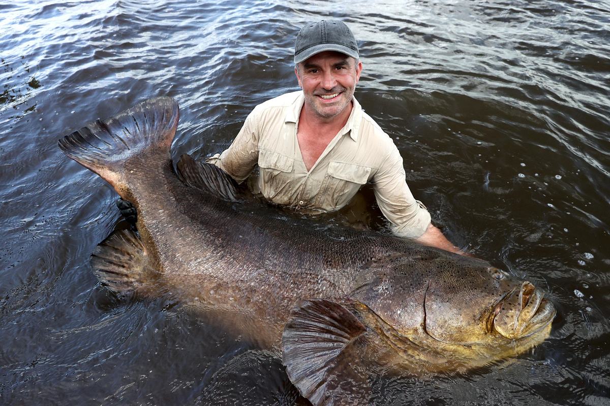 Giganten unter Wasser - Riesenfischen auf der Spur giganten unter wasser - riesenfischen auf der spur