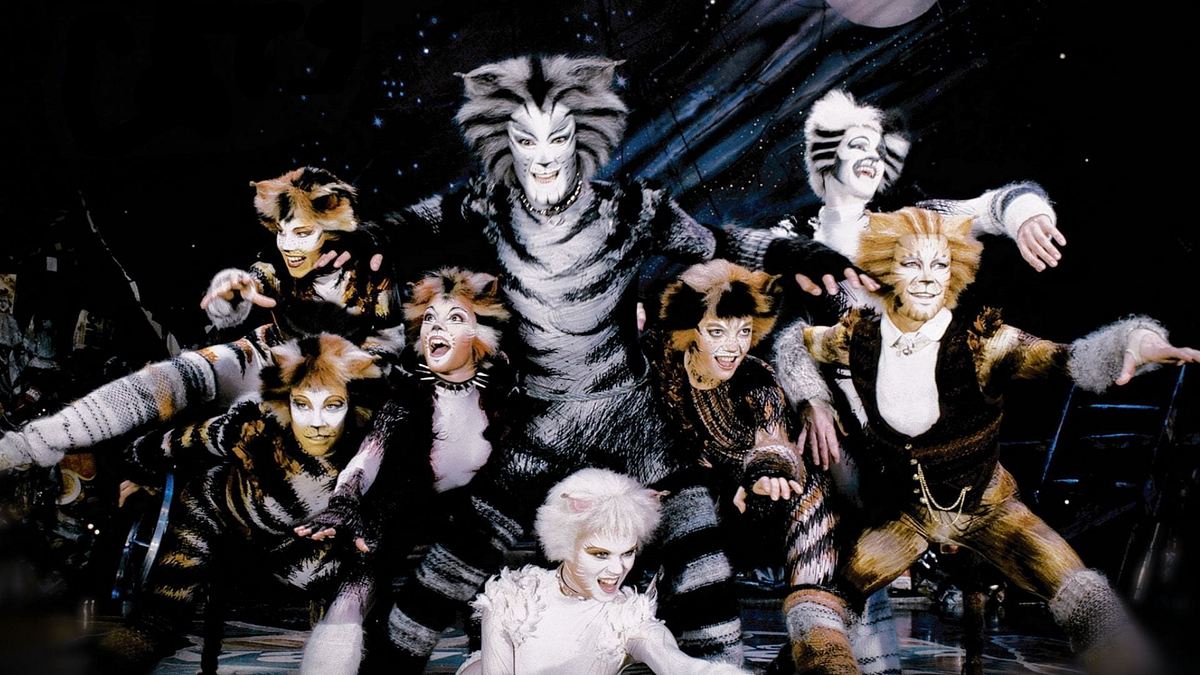 Cats Cats