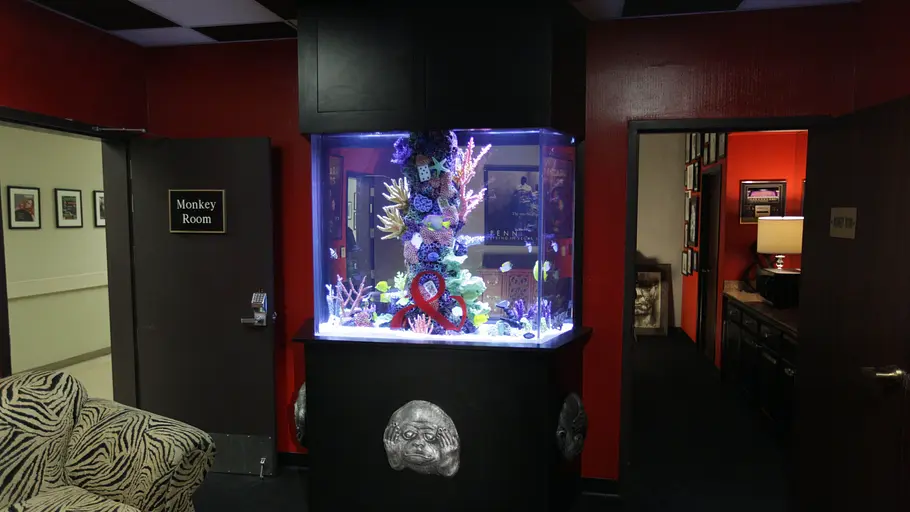 Die Aquarium-Profis die aquarium-profis