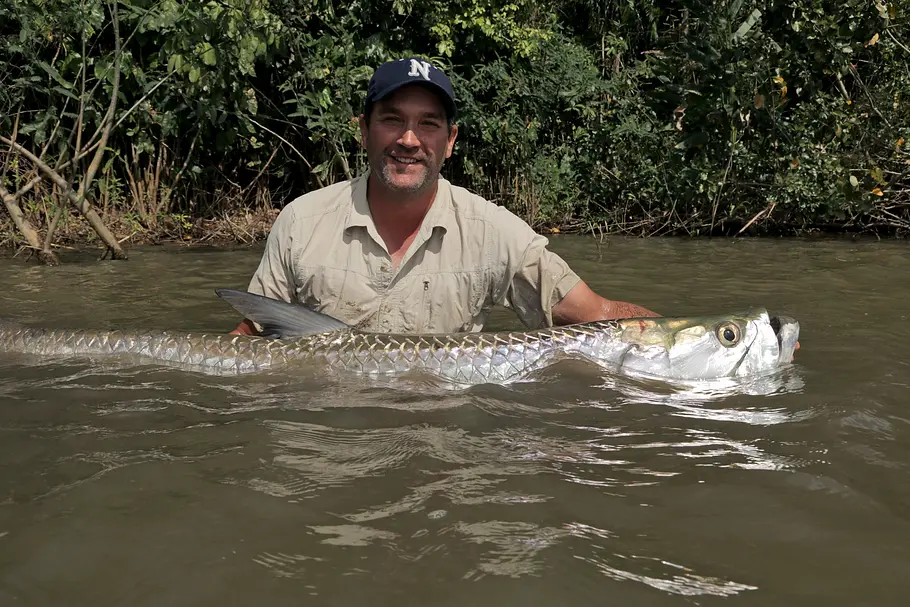 Zeb Hogans Monsterfische zeb hogans monsterfische