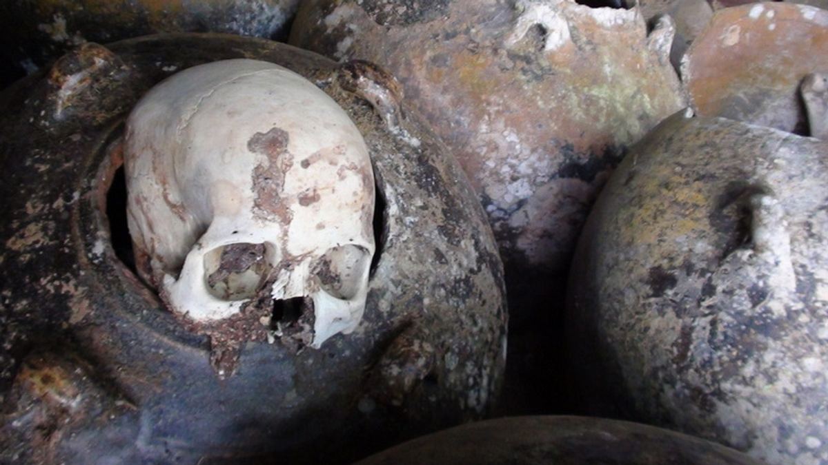 verborgen im dschungel - geheimnisse aus der vergangenheit