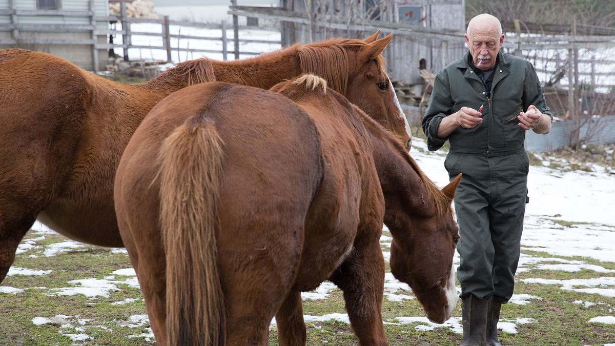 der unglaubliche dr. pol