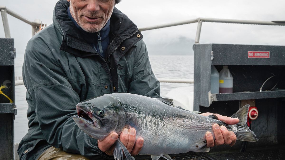 dark waters mit jeremy wade