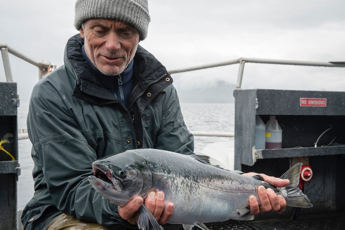 Dark Waters mit Jeremy Wade dark waters mit jeremy wade