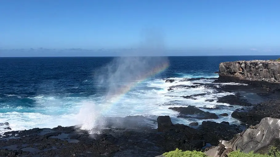 galapagos