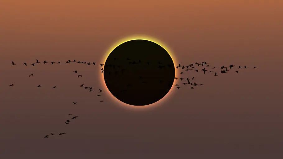 sonnenfinsternis am ballermann live - das himmelsspektakel des jahrzehnts