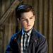 Young Sheldon Thumbnail