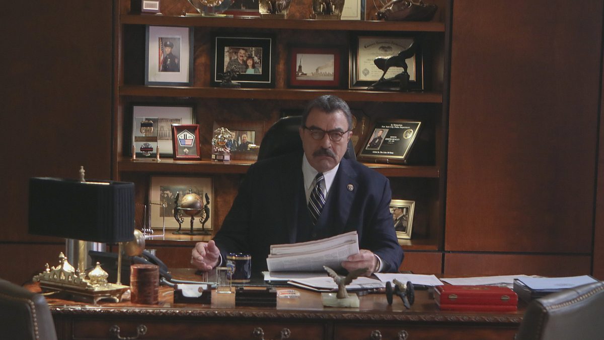 blue bloods - crime scene new york