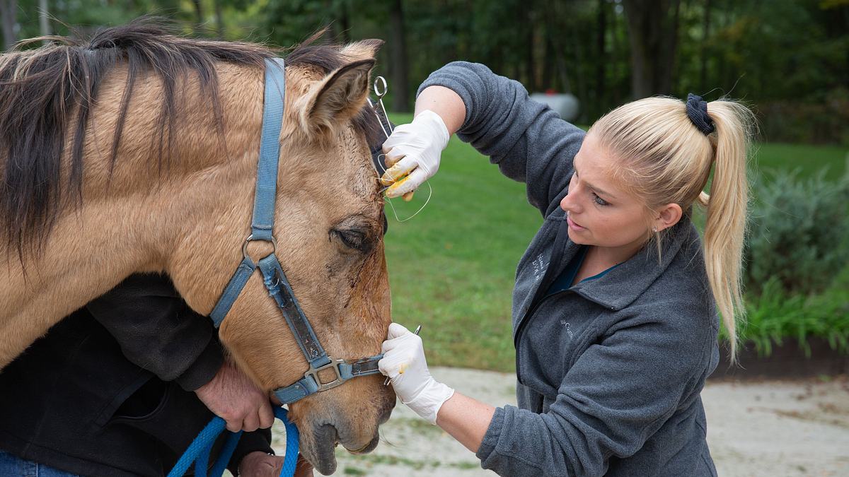 der unglaubliche dr. pol