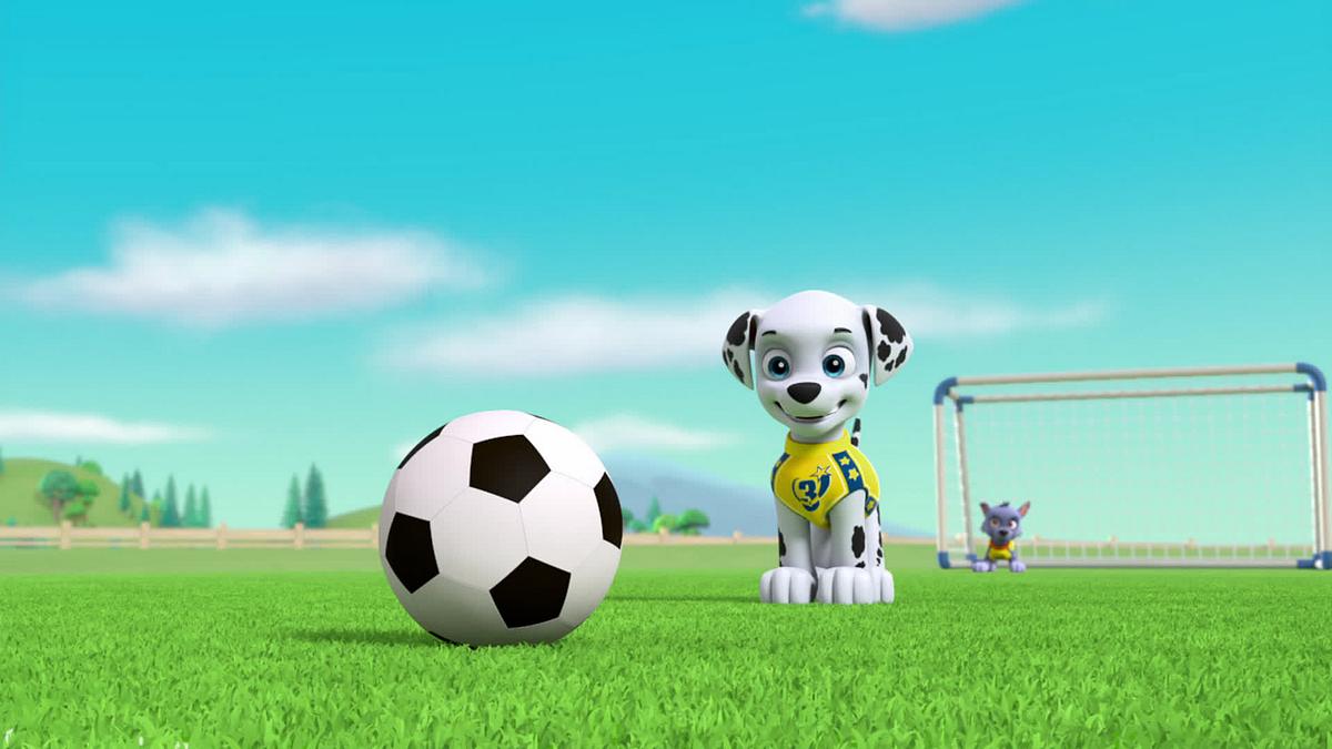 paw patrol - helfer auf vier pfoten