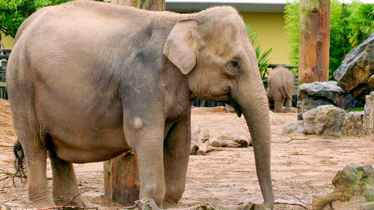 zoo und so - tierisch wild!