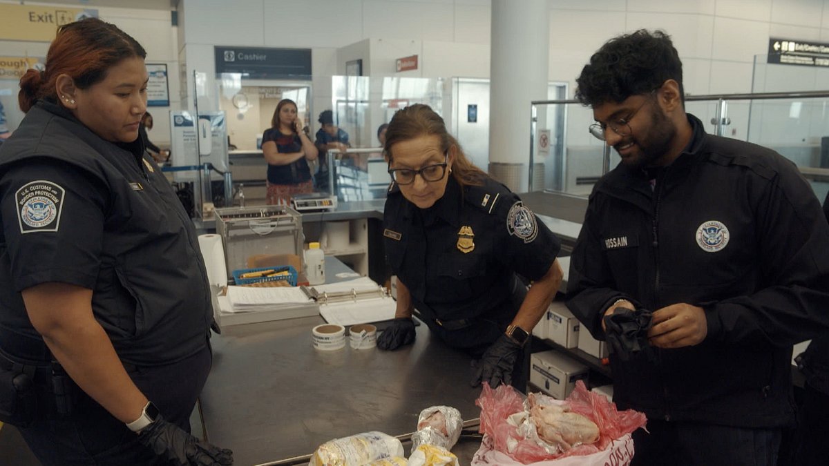 Airport Security airport security