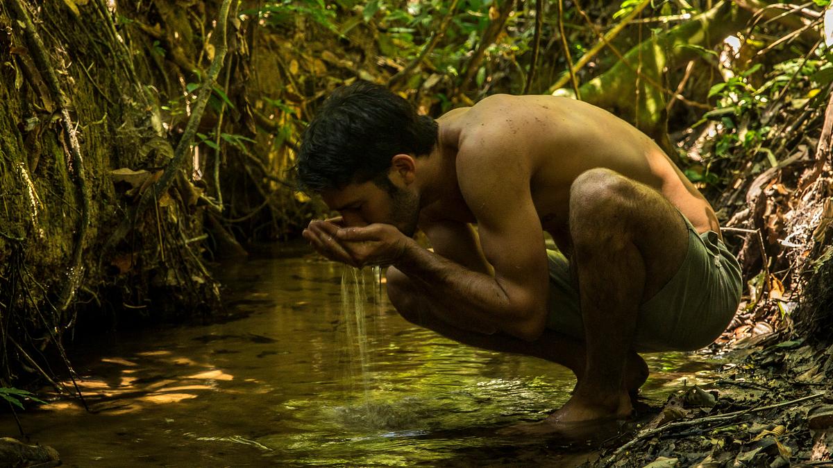 andrew ucles - born to be wild