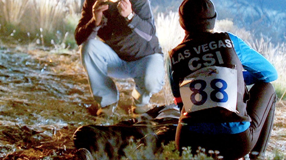csi: den tätern auf der spur