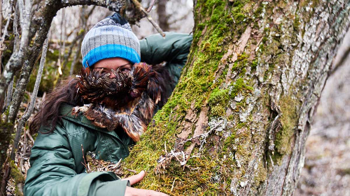 ed stafford: das survival-duell