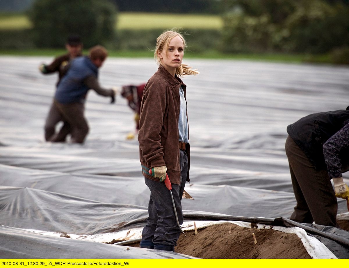 Tatort tatort