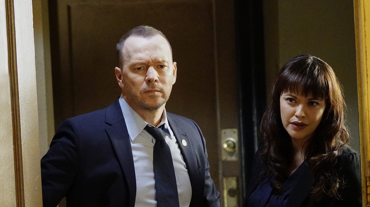 blue bloods - crime scene new york