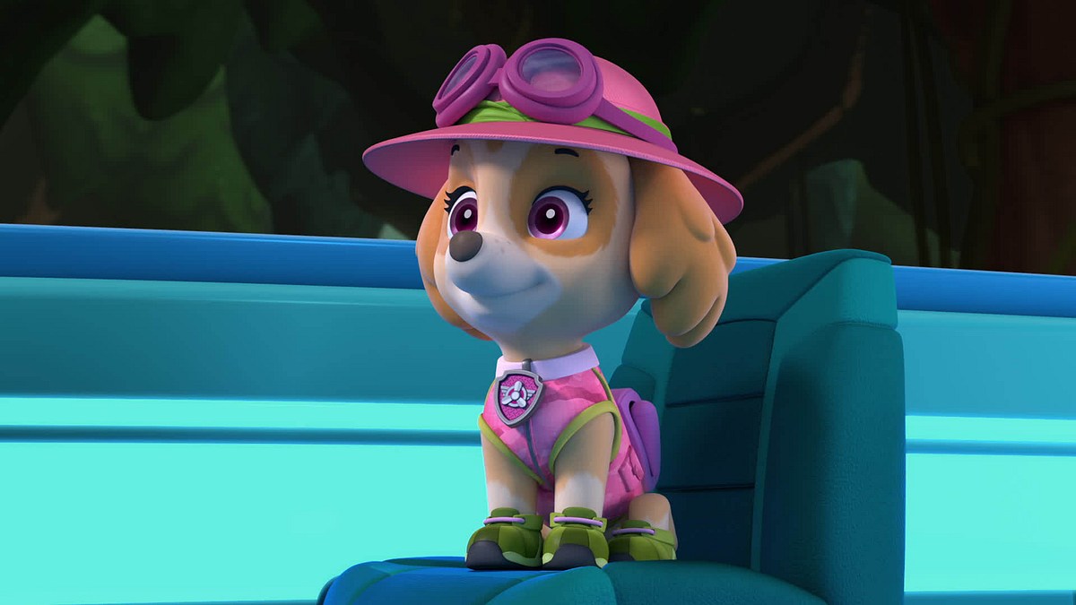 Paw Patrol - Helfer auf vier Pfoten paw patrol - helfer auf vier pfoten