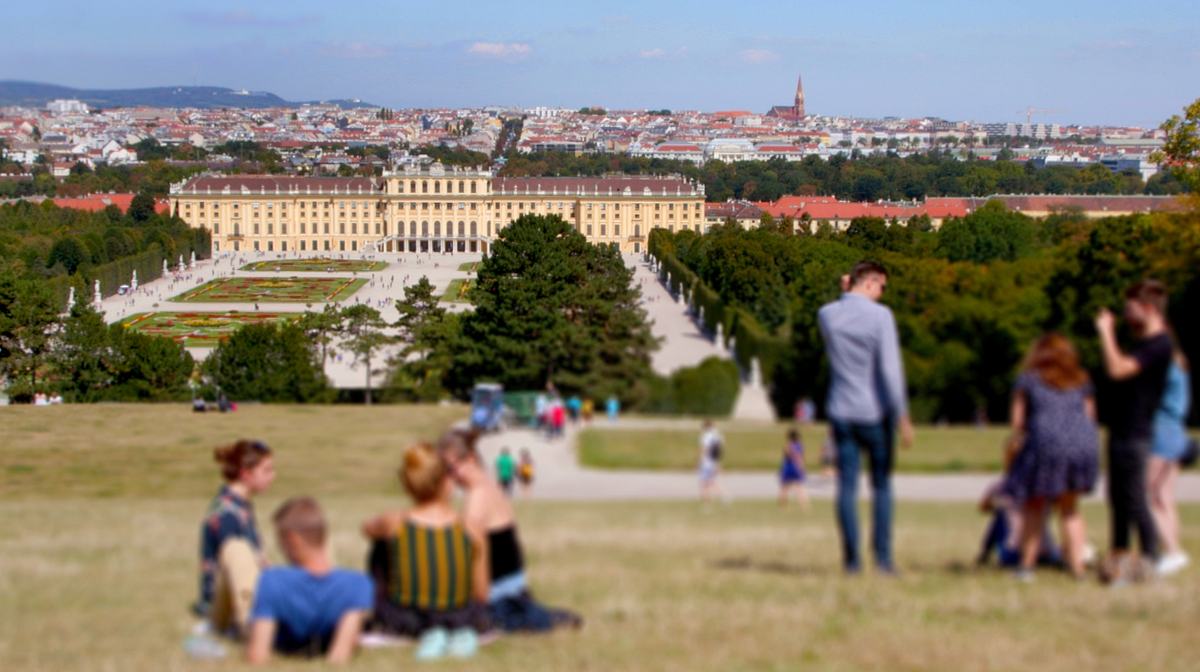 50 gründe