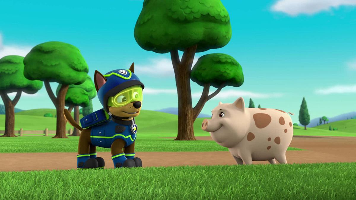 paw patrol - helfer auf vier pfoten