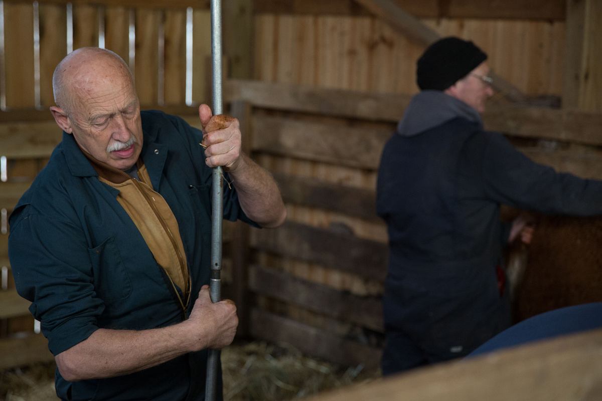 Der unglaubliche Dr. Pol der unglaubliche dr. pol