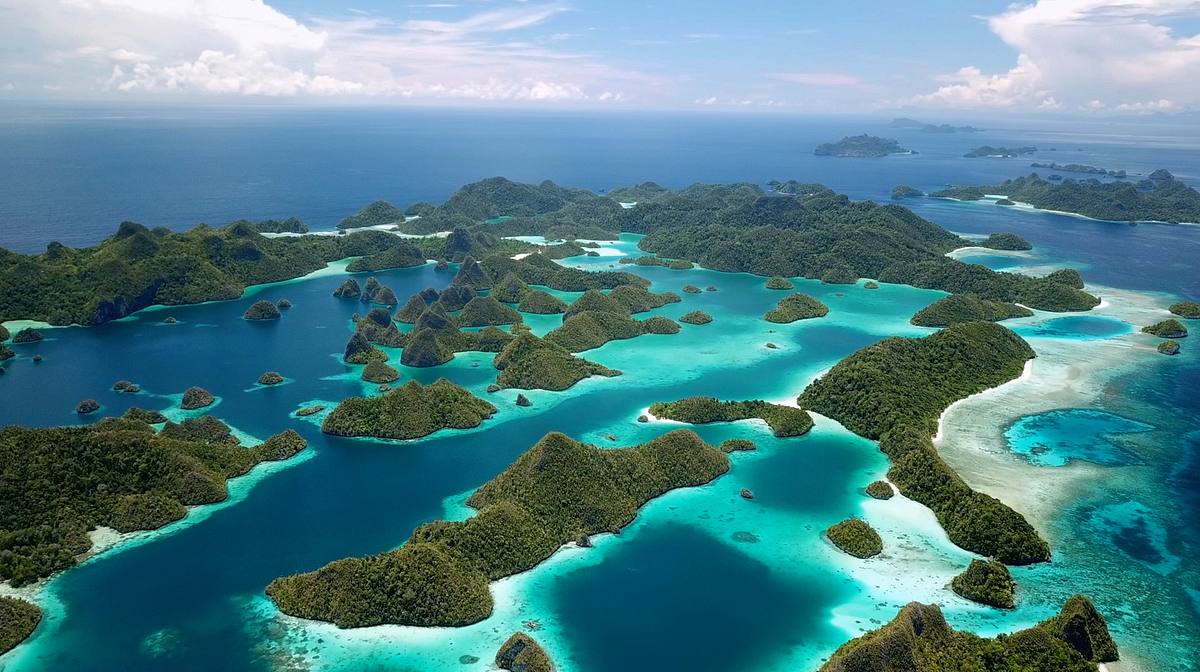 Into the Blue - Indonesiens Unterwasserparadiese into the blue - indonesiens unterwasserparadiese