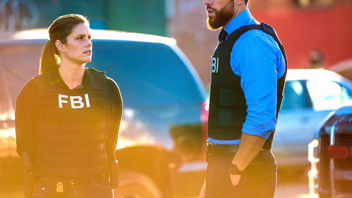 fbi: special crime unit