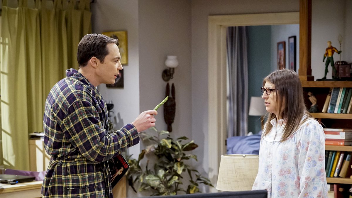 the big bang theory