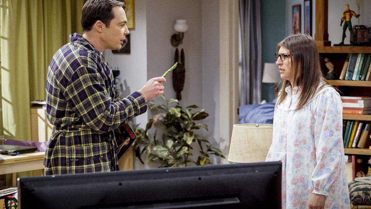 the big bang theory