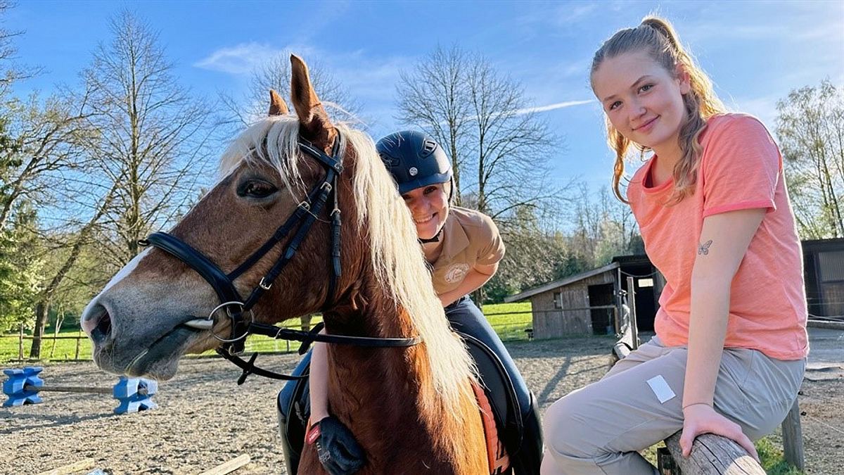 nina und die haustiere
