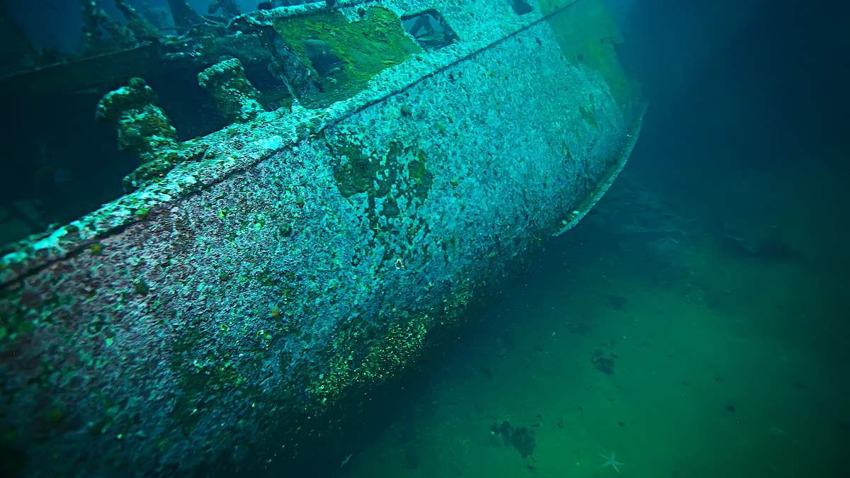 enthüllt: geheimnisse der meere