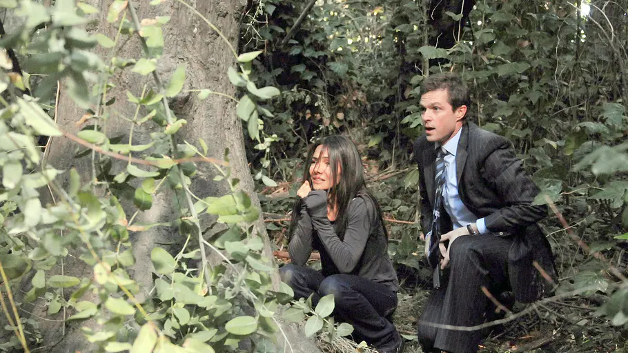 without a trace - spurlos verschwunden