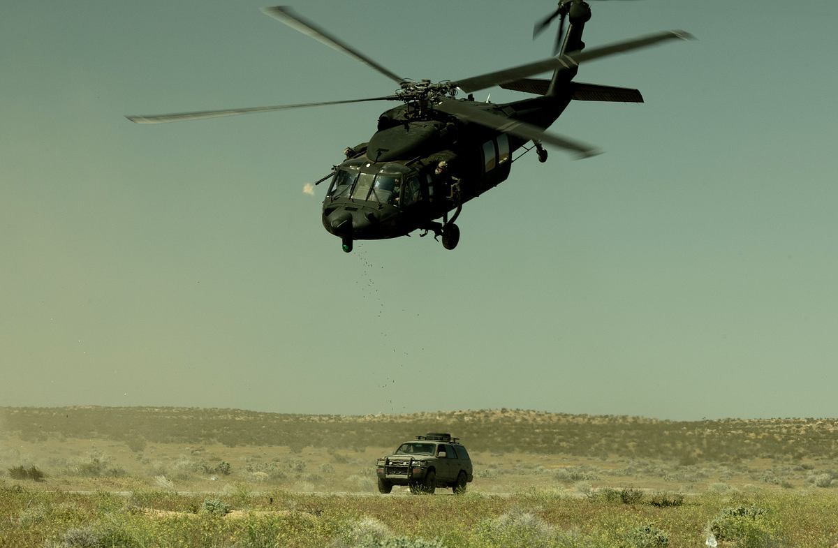 seal team