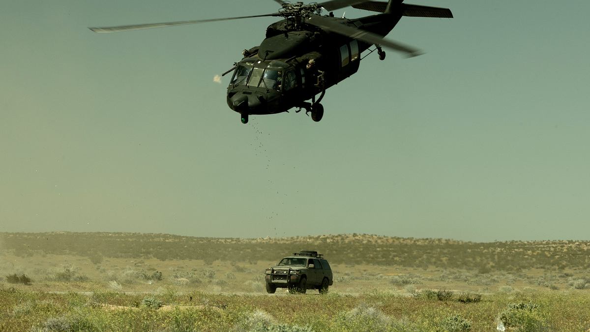 seal team