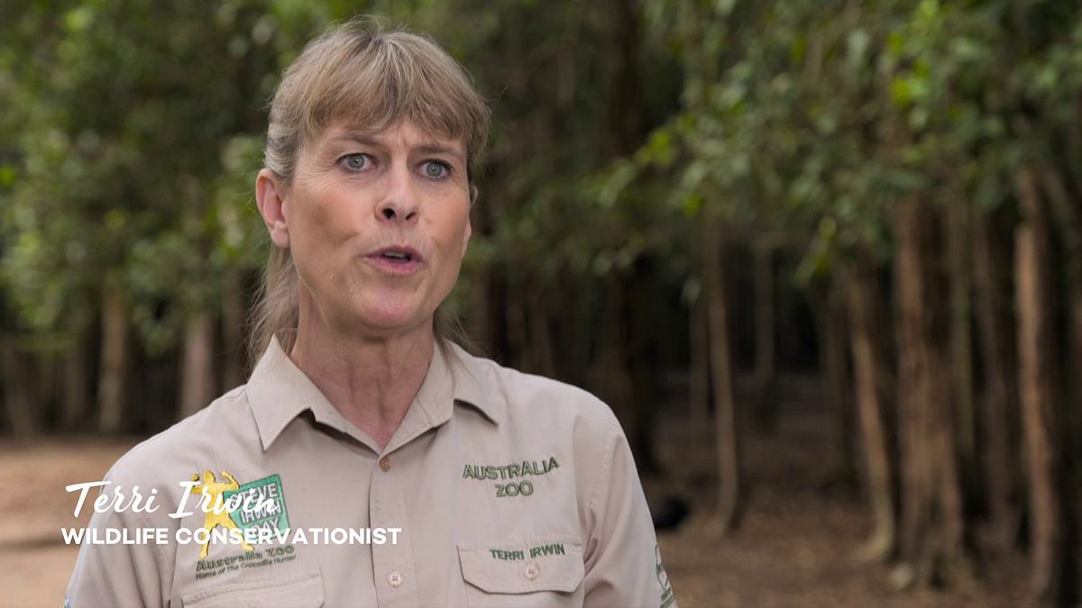 die irwins - crocodile hunter family