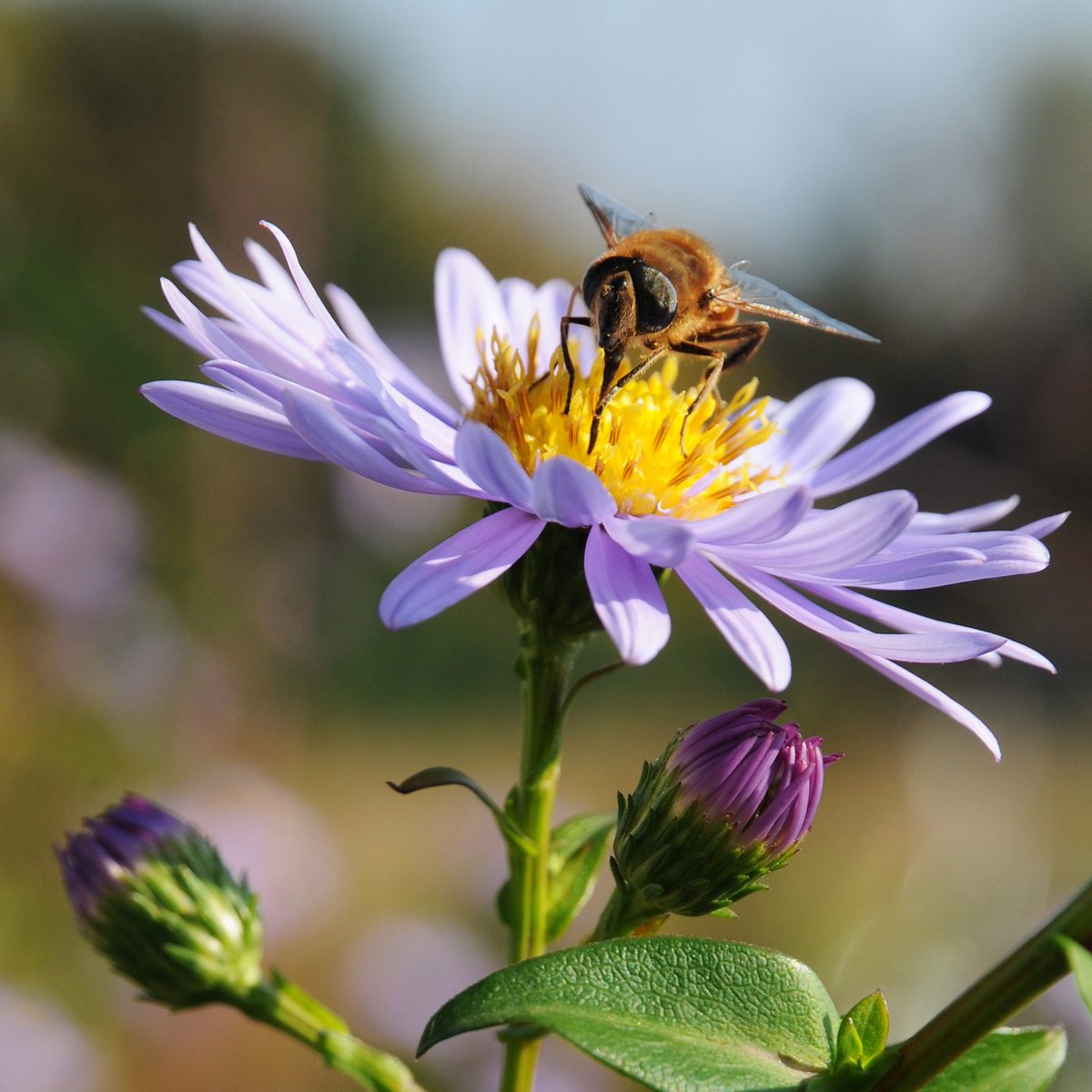 welt der tiere